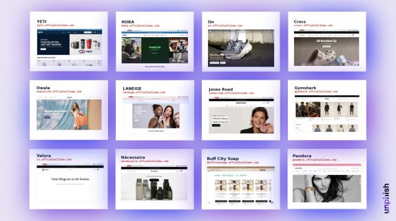One Domain, Twelve Brands Targeted